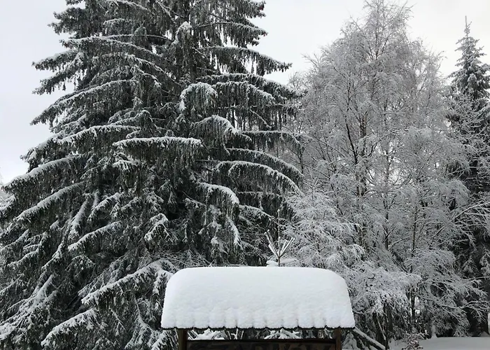 Monte Luna - Prázdninový dům